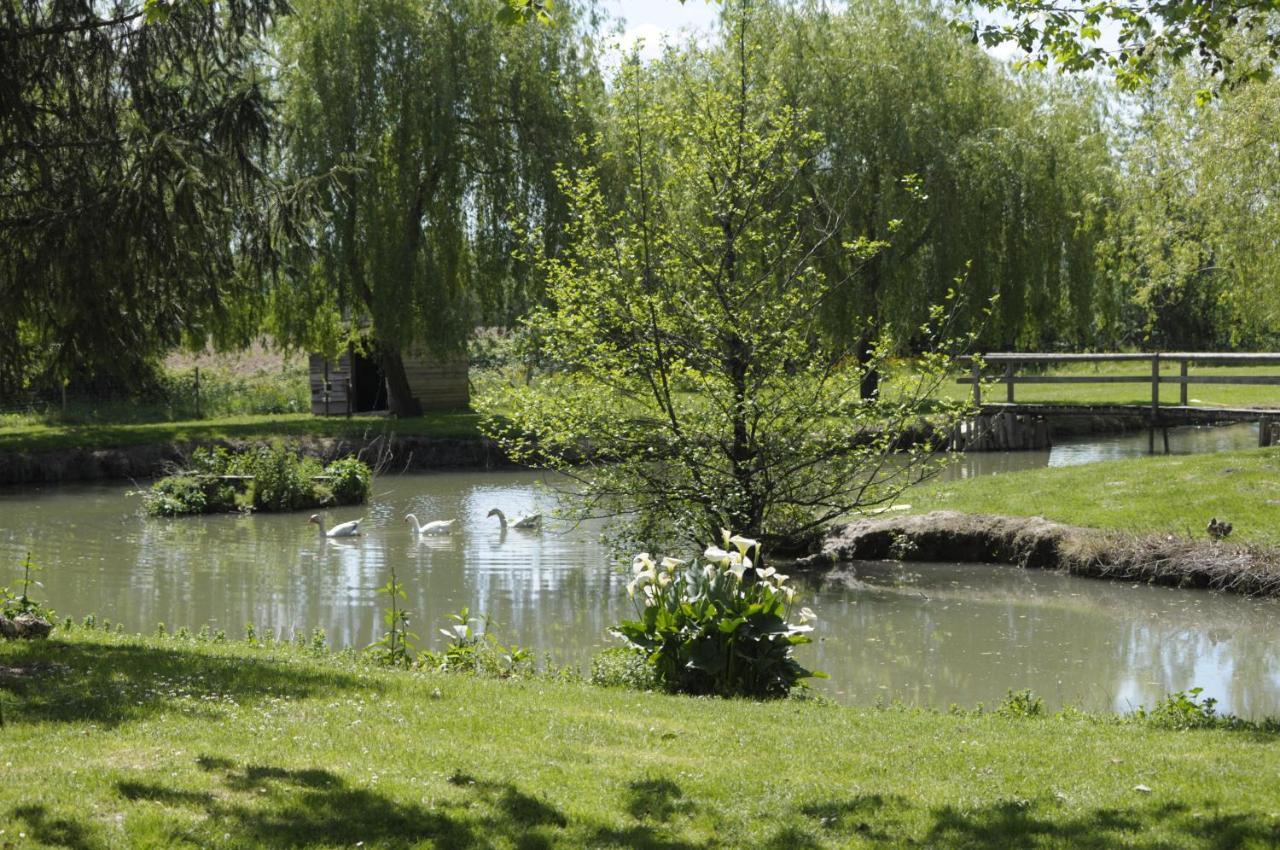 Bed and Breakfast Domaine Ramonjavel, Glamping & Alpaca'S Fongrave Exterior foto