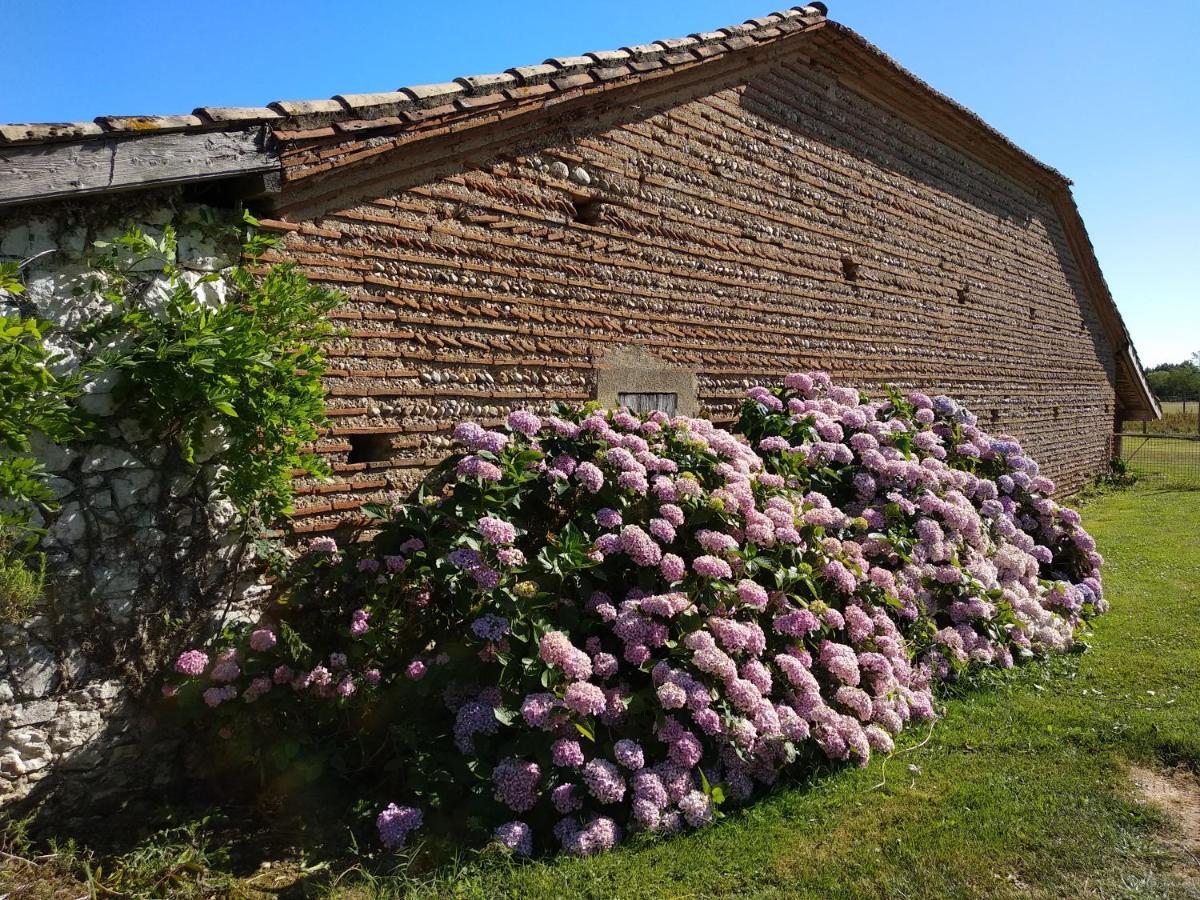Bed and Breakfast Domaine Ramonjavel, Glamping & Alpaca'S Fongrave Exterior foto