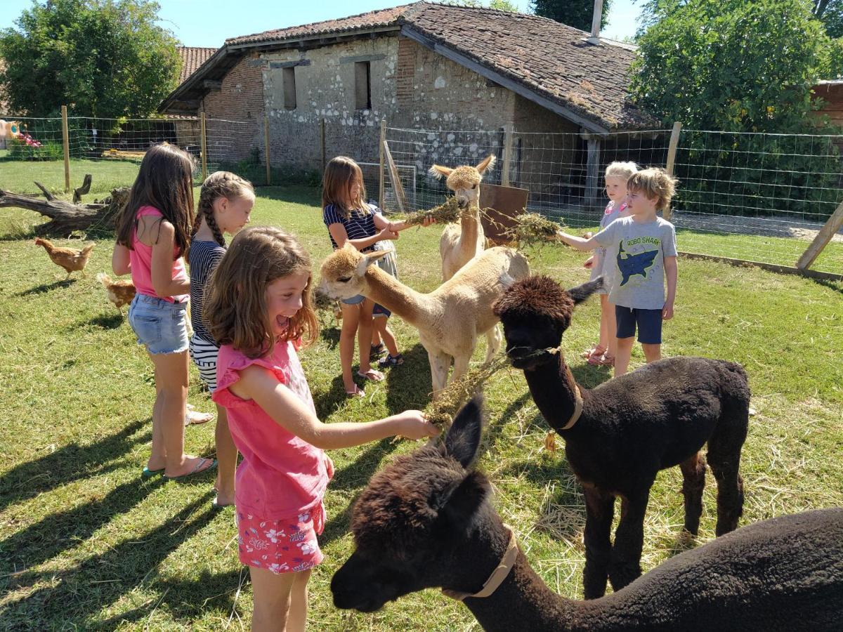 Bed and Breakfast Domaine Ramonjavel, Glamping & Alpaca'S Fongrave Exterior foto